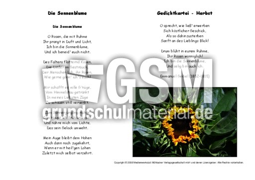 Die-Sonnenblume-Geibel.pdf